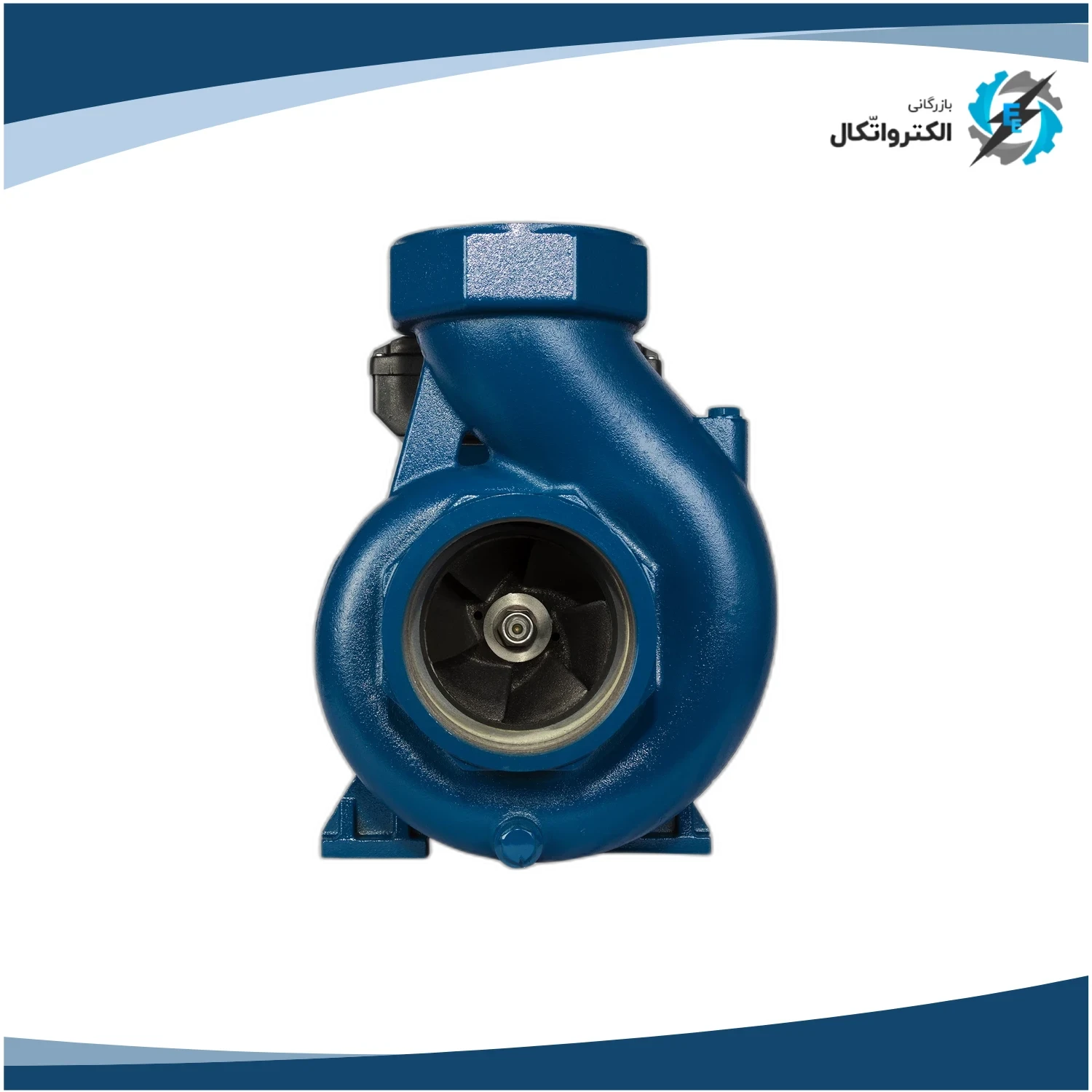 پمپ اصلی پنتاکس 4 اینچ 3 کیلووات CS 450_4 حجم آبدهی بالا_2