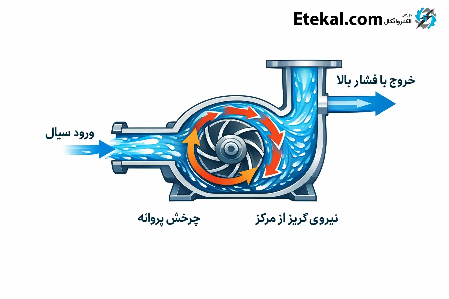 کالبدشکافی پمپ، اجزای اصلی تشکیلدهنده